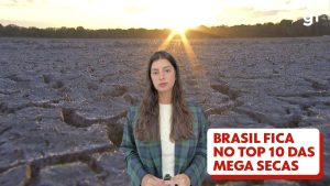 Catástrofe Ambiental: Queimadas Despedaçam Terras e 70% das Áreas Devastadas em Apenas 3 Meses!
