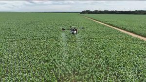 A Revolução Verde: Agricultores Usam Bioinsumos Naturais em Combate Surpreendente às Pragas!