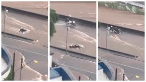 Urgente: Motoqueiro é Arrastado pela Enchente em Santo André e Salvo por Herói! Veja o Vídeo Impactante!