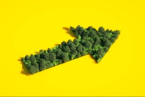 Empresas Revelam: A Verdade Chocante Sobre Lucros e o Impacto Ambiental Que Você Nunca Imaginou!