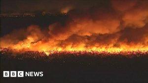 Caos em Nova Jersey: Moradores FUGEM em meio a Incêndios Devastadores!