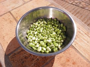 URGENTE: Proteínas Vegetais – A Revolução Científica que Pode Salvar o Planeta!