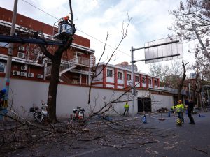 ATENÇÃO: Ventos FORTES DEVASTAM a China! Milhões ENJAULADOS em casa com cancelamentos de voos!