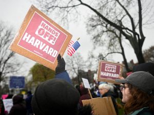 HARVARD X TRUMP: BATALHA JUDICIAL EPICAMENTE CHOCANTE – O QUE ESTÁ EM JOGO!