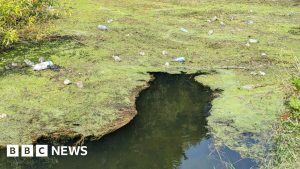 Água da Inglaterra em Colapso: Poluição Explosiva Atinge Nível Alarmante!