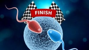 Corrida de Esperma CHOCANTE: A Verdade Controversial sobre o Fim da Fertilidade Masculina!