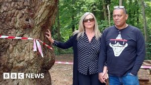 Escândalo em Enfield: Árvores Derrubadas em Toby Carvery Geram Revolta Total!