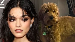 Desesperada! Rachel Zegler Faz Apelo Aflito no Instagram por Cachorro em Perigo!