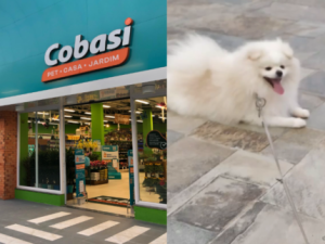 Emergência em Cobasi: Cão Morre em Banho Após Calor Excessivo – Desabafo Chocante dos Tutores!