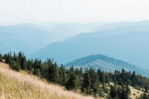 16 Segredos Chocantes para Aposentados Lucrando de Casa AGORA!