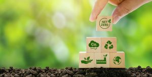 Escândalo Ecológico: Romênia Libera Compra de Produtos ‘Verdes’ em Meio a Acusações de CorruPReSpa!