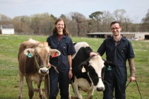 Revolução Tecnológica: Impressão de Casco que Nutre Vacas e Combate o Metano!