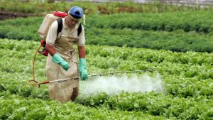 Cataclismo Verde: Mudanças Climáticas Potencializam Doenças Agrícolas!