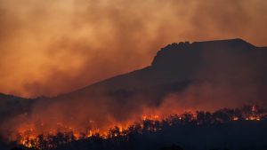 Alerta Vermelho: Cientista Revela Que Mudanças Climáticas Podem Desencadear Caos Político Global!