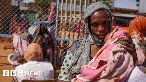 Massacre no Sudão: Mais de 400 mortos por grupo rebelde!
