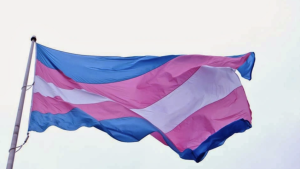 CFM em Fúria: Saúde em Colapso por Restrição Brutal às Terapias Trans!