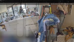 Vídeo CHOCANTE: Cão Fiel Defende o Corpo da Esposa do Ícone Gene Hackman!