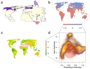 Inteligência e Adaptabilidade Não Garantem Sobrevivência das Aves: O Fim à Vista com as Mudanças Climáticas!