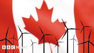 URGENTE: Candidatos Ignoram Crise Climática e Focam em Combustíveis Fósseis! O que Está Acontecendo?