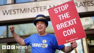 Steve Bray: O Anti-Brexit que Você Não Vai Acreditar Como Limpa o Caos dos Protestos!