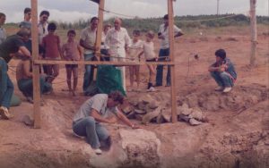 Fóssil Revolucionário: O Segredo do Museu de Paleontologia de Monte Alto Revelado Após 40 Anos!