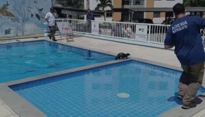 Intriga Animal: Lontra Revolta Condomínio em Aracaju e Resgate Urgente!