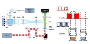 Revolução na Microscopia: Novo Método Promete Desvendar os Mistérios Químicos em Escala Nanos!