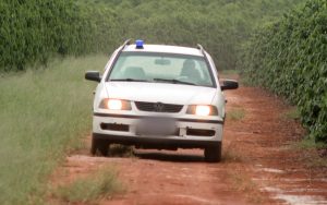 ALERTA MÁXIMO: Café a R$ 2,5 mil e produtores armados contra ladrões em Minas!