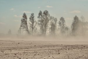 Tempestade de Areia no Iraque: 1.800 Vítimas com Problemas Respiratórios! O Que Está Acontecendo?