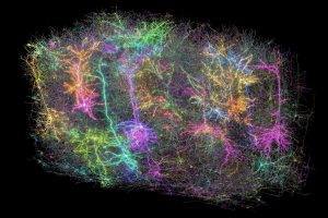 Explosões Colossais de um Buraco Negro: O Mapa Cerebral Mais Impressionante da História e os Segredos da Musicalidade Humana!