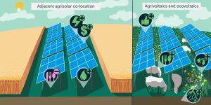 Revolução Agrícola ou Energética? A Guerra Surpreendente entre Colheitas e Painéis Solares!