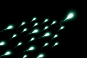 Estudantes dos EUA Envolvem-se em Concurso Chocante com Espermatozoides: Uma Experiência de Saúde Reprodutiva que Vai Abalar!