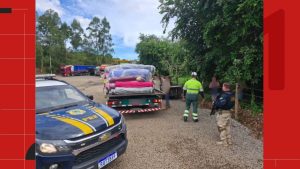 Criminosas em Ação: Mulher Arrestada por Frete de Carga Roubada na BR-101!