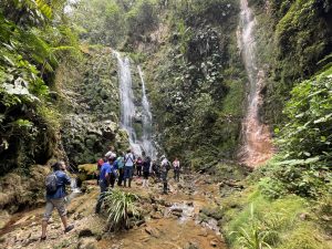 Terra Mamãe em Perigo: A Revolução Judicial do Equador Que Pode Mudar Tudo!